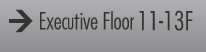 Executive Floor 11-13F