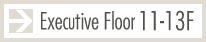 Executive Floor 11-13F